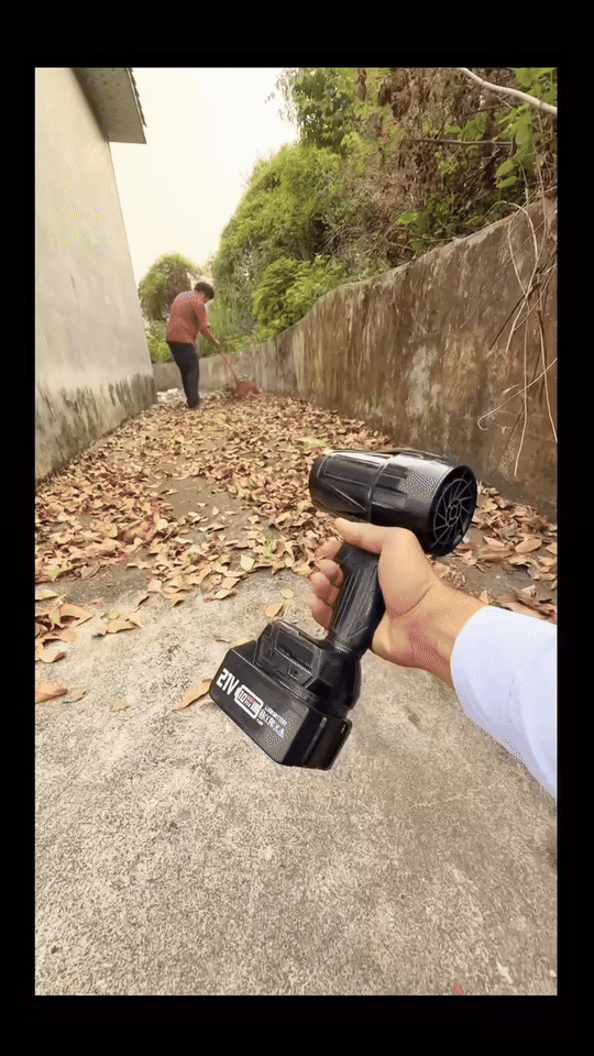 CarMart Cordless Cleaning Assistant™